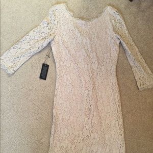 Aritzia- Babaton Rafael dress